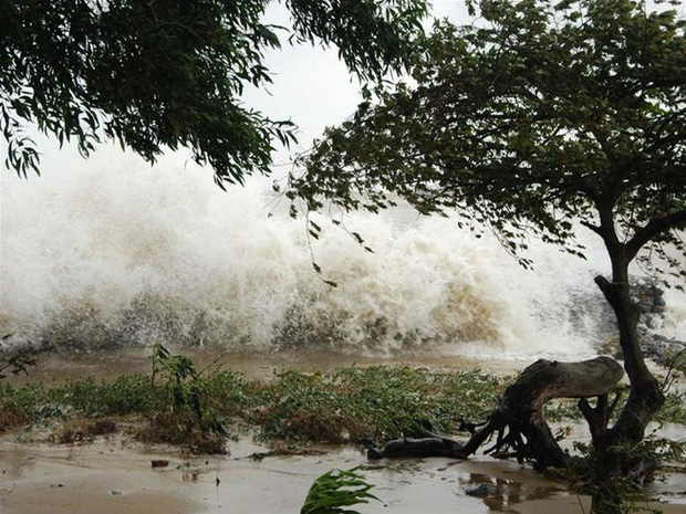 Những cơn bão lịch sử đã từng đổ bộ vào Việt Nam - Ảnh 2.