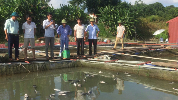 Phòng Nông nghiệp và phát triển nông thôn huyện Thanh Thủy đi kiểm tra hiện tượng cá chết hàng loạt - Ảnh: T. QUÂN