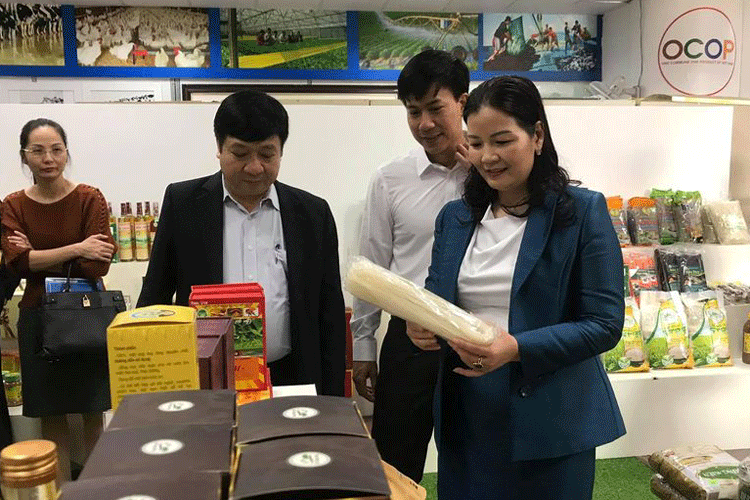 Hà Nội: Khai trương Điểm giới thiệu, quảng bá và bán sản phẩm OCOP mới ở quận Bắc Từ Liêm - Ảnh 1.
