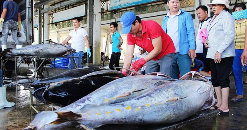 Cá ngừ Việt Nam vượt khó để tăng trưởng - Ảnh 2.