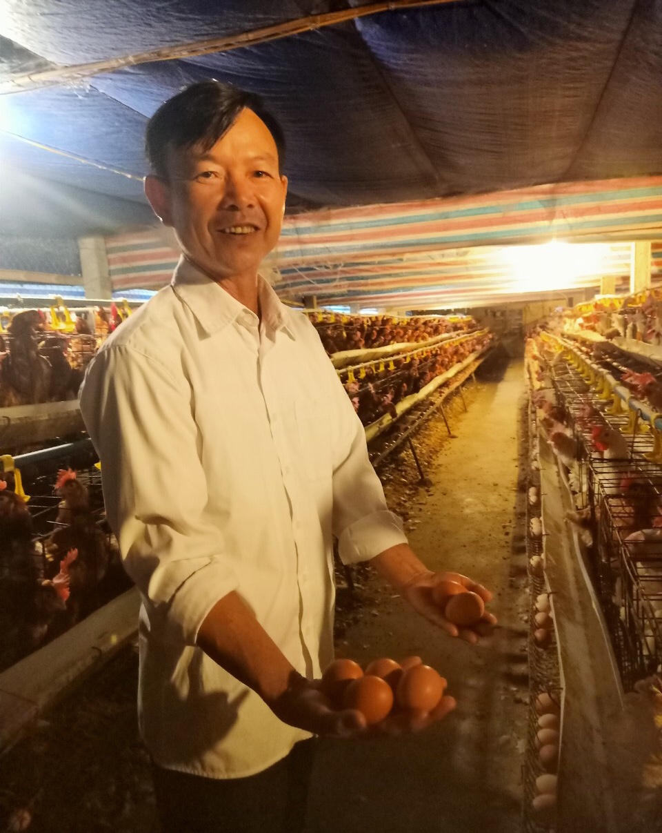 Nghệ An :( Nghĩa Đàn ) Xã Nghĩa Hưng điểm sáng cho mô hình phát triển kinh tế địa phương. - Ảnh 2. Nghệ An :( Nghĩa Đàn ) Xã Nghĩa Hưng điểm sáng cho mô hình phát triển kinh tế địa phương. - Ảnh 2.