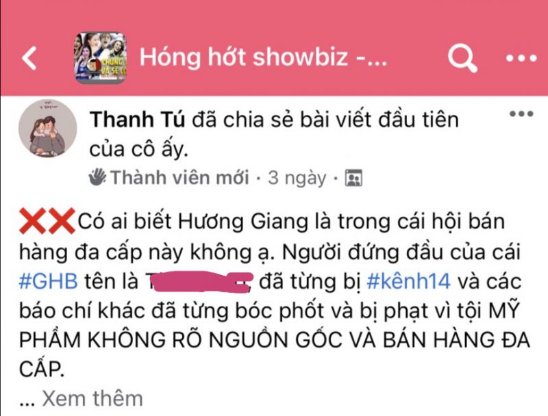 Tập đoàn THINGO Group bị ảnh hưởng như thế nào trong 'cuộc chiến' giữa antifan và Hoa Hậu Hương Giang? - Ảnh 4.