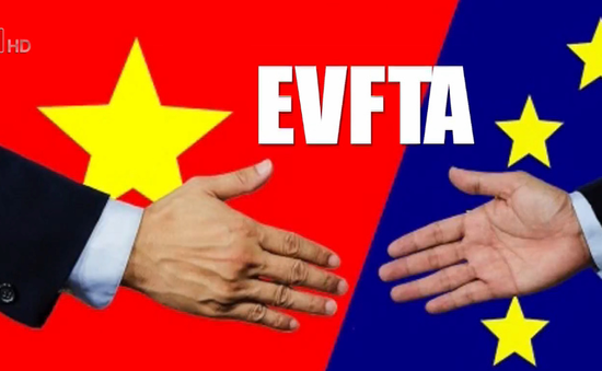 Biểu thuế xuất nhập khẩu ưu đãi của Việt Nam để thực hiện EVFTA - Ảnh 1.