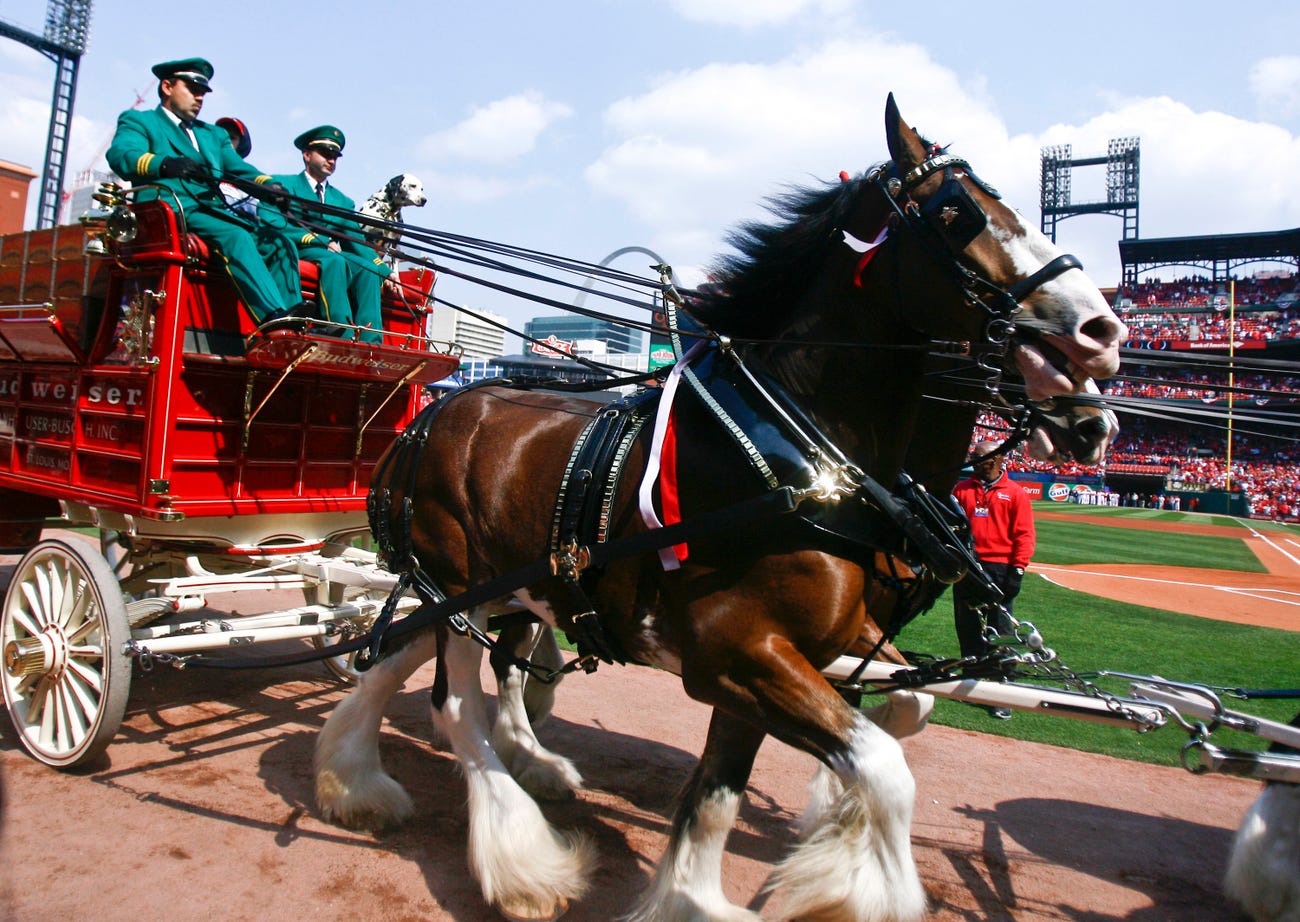 Marketing khôn ngoan như Budweiser: Nghỉ quảng cáo trong Super Bowl, dành 5,6 triệu USD đó để nâng cao nhận thức về vaccine Covid-19 - Ảnh 1. Marketing khôn ngoan như Budweiser: Nghỉ quảng cáo trong Super Bowl, dành 5,6 triệu USD đó để nâng cao nhận thức về vaccine Covid-19 - Ảnh 1.