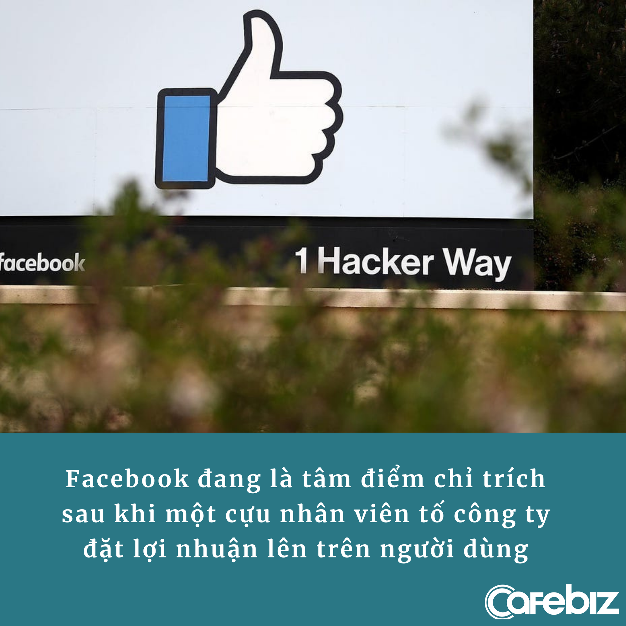 Tạo công cụ giúp dùng Facebook ít hơn, lập trình viên bị gửi thư dằn mặt, tài khoản Facebook và Instagram ‘bay màu’ - Ảnh 2.
