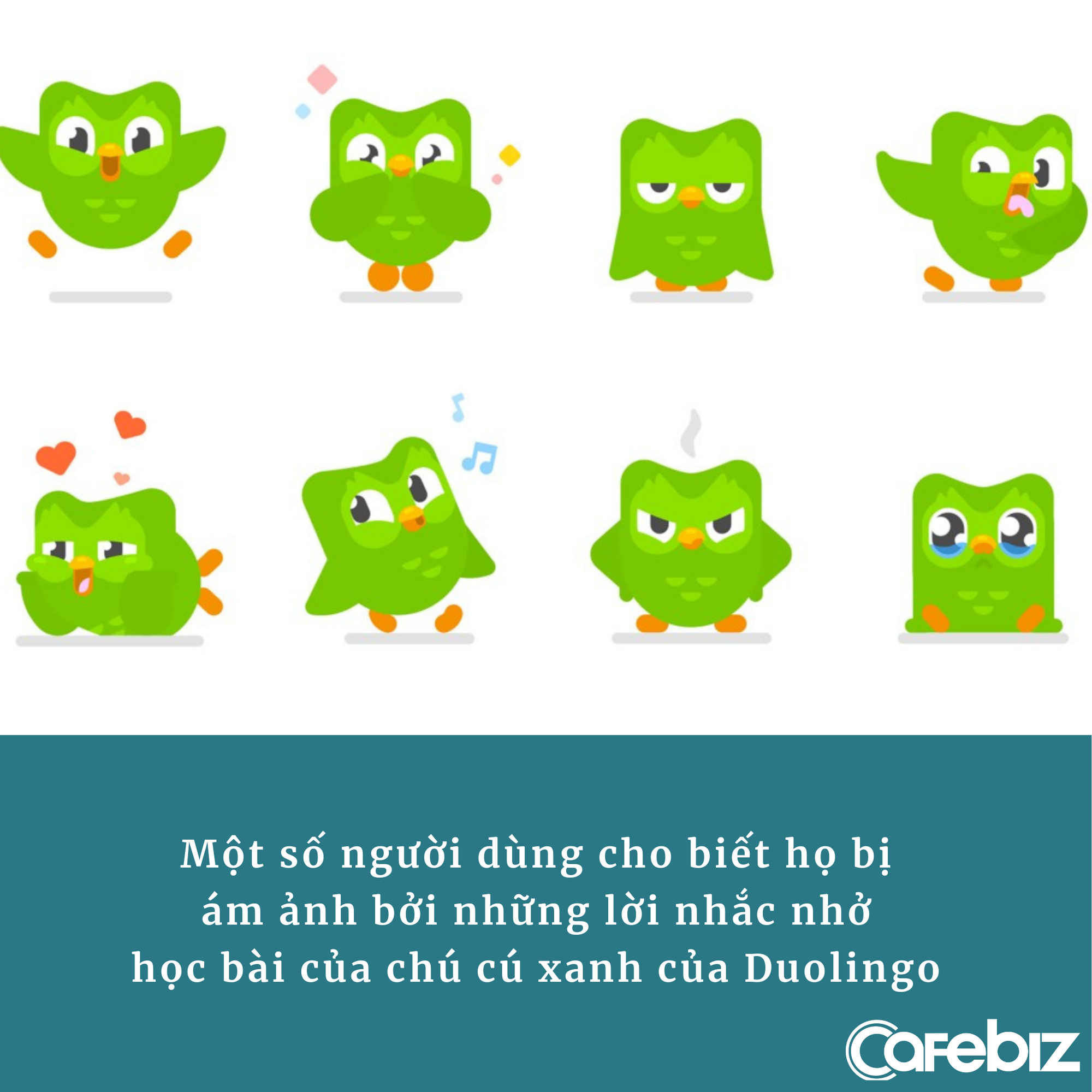 Duolingo phát triển app học Toán, người dùng hoang mang: Bị ‘cú xanh’ nhắc học ngoại ngữ là quá đủ rồi! - Ảnh 2.