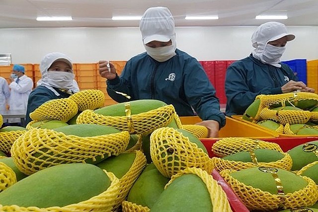 Để trái cây Việt vươn xa vào thị trường nước ngoài - Ảnh 2.