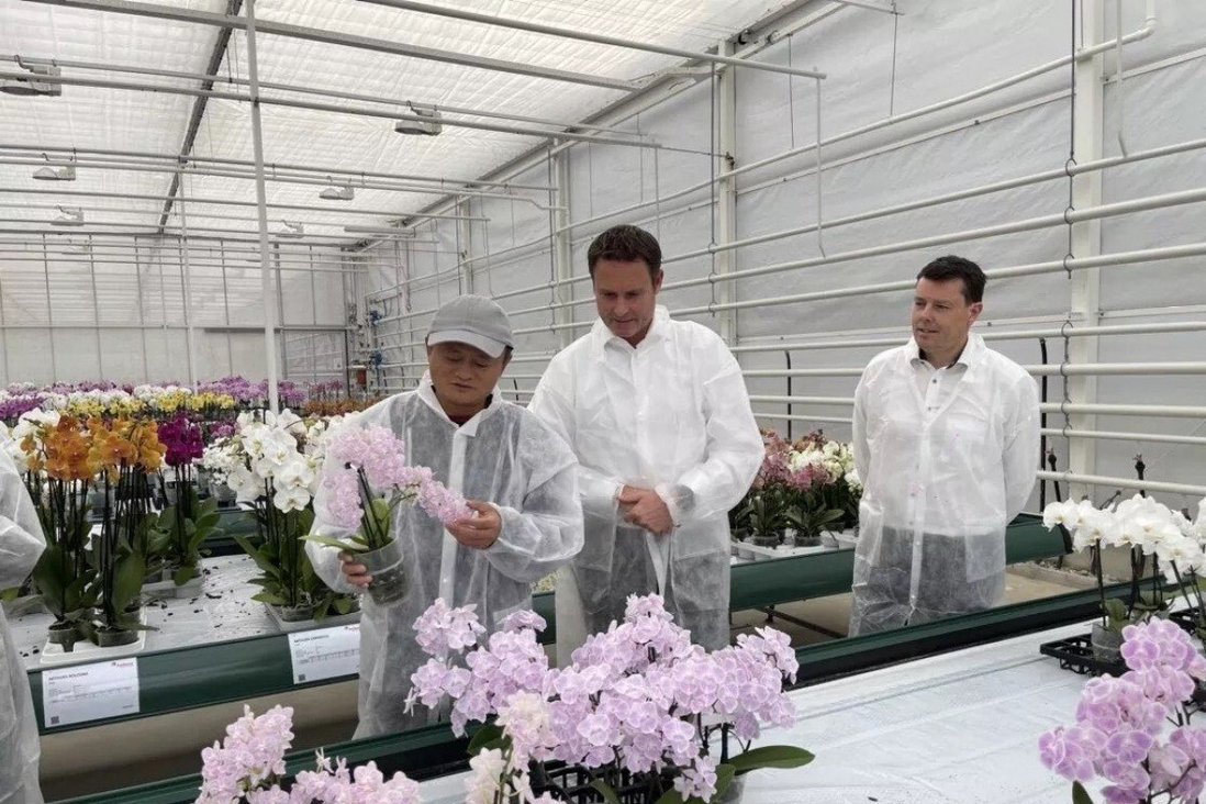 Jack Ma đi thăm trang trại, nhà kính học cách trồng rau, nuôi cá, liệu sẽ tạo ra một Alibaba trong lĩnh vực nông nghiệp? - Ảnh 1.