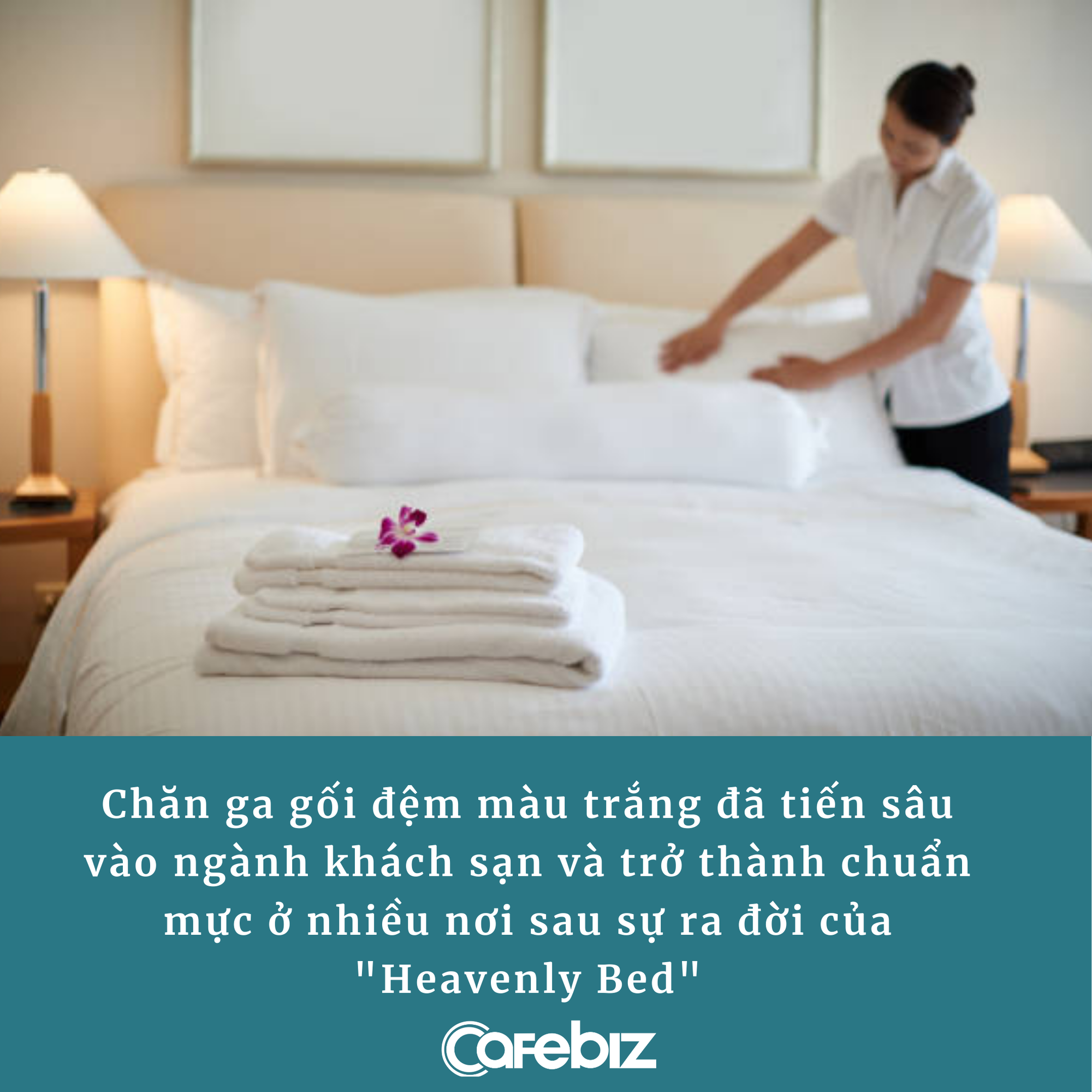 Tại sao các khách sạn thường dùng ga gối màu trắng dù đây là màu dễ bẩn nhất? - Ảnh 2. Tại sao các khách sạn thường dùng ga gối màu trắng dù đây là màu dễ bẩn nhất? - Ảnh 2.