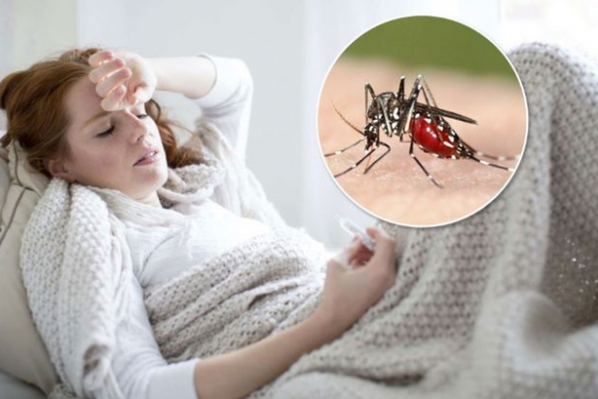 Sốt rét run ở người lớn nên làm gì? Những điều cần biết về bệnh sốt rét - Ảnh 1. Sốt rét run ở người lớn nên làm gì? Những điều cần biết về bệnh sốt rét - Ảnh 1.