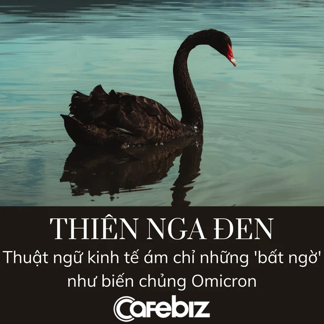 Omicron và học thuyết thiên nga đen: Nhìn lại cách George Soros, Warren Buffett kiếm tiền từ khủng hoảng trong quá khứ - Ảnh 1. Omicron và học thuyết thiên nga đen: Nhìn lại cách George Soros, Warren Buffett kiếm tiền từ khủng hoảng trong quá khứ - Ảnh 1.