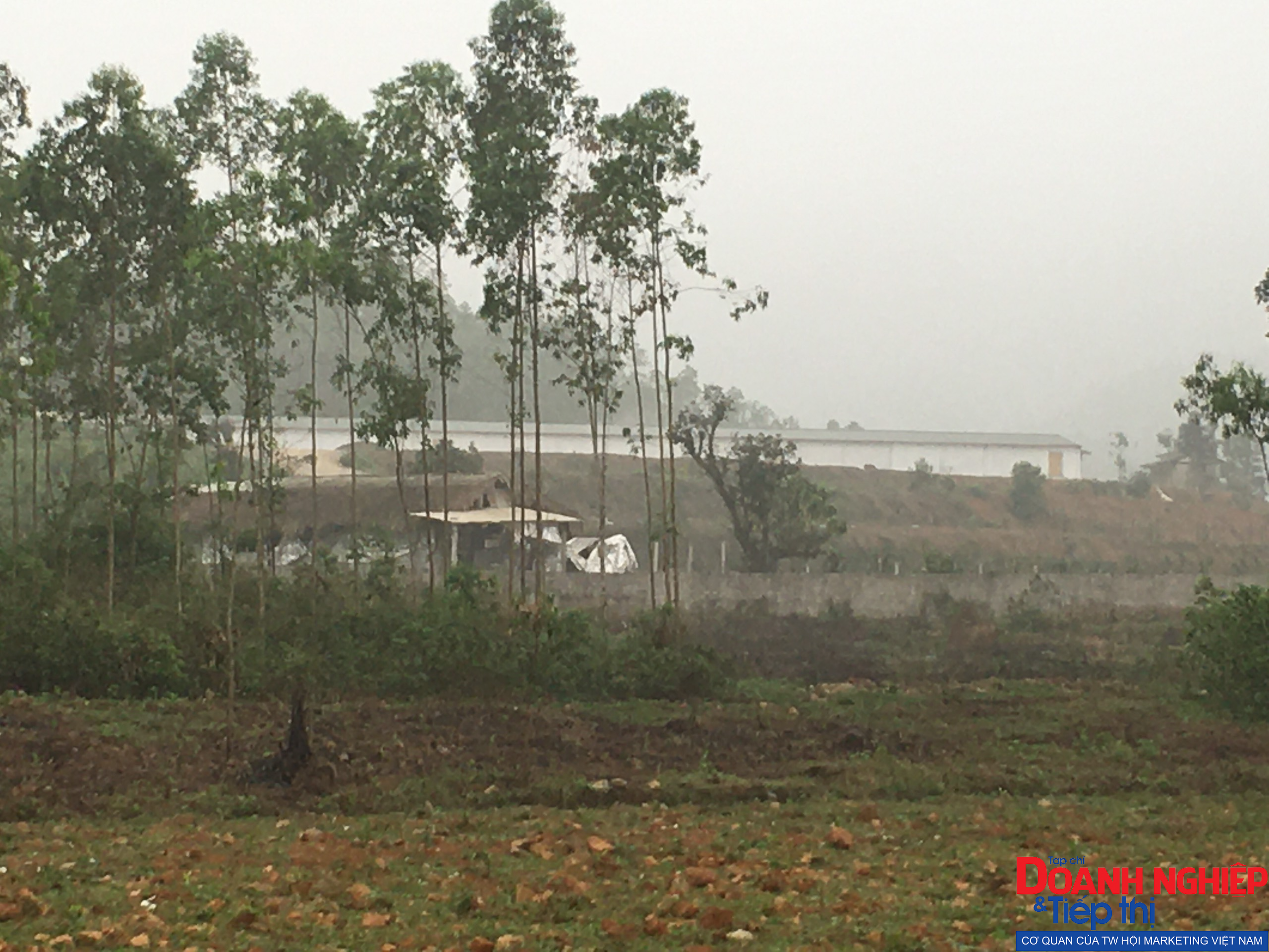 Cẩm Khê (Phú Thọ): Trang trại gà ngang nhiên xây dựng trái phép trên đất rừng sản xuất - Ảnh 2.