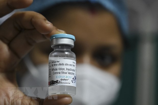 Ấn Độ: Vaccine COVID-19 có hiệu quả bảo vệ hơn 80% - Ảnh 1.