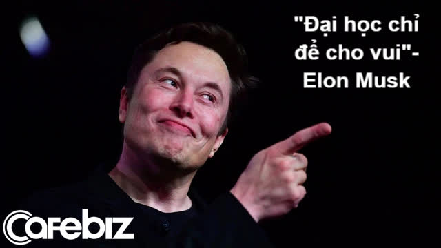 Elon Musk: Đại học cơ bản chỉ để cho vui  chứ không phải để học - Ảnh 1.