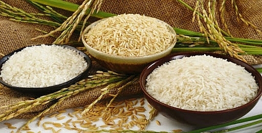 Giá lúa gạo hôm nay 12/4: Tiếp đà giảm ở một số chủng loại - Ảnh 1.