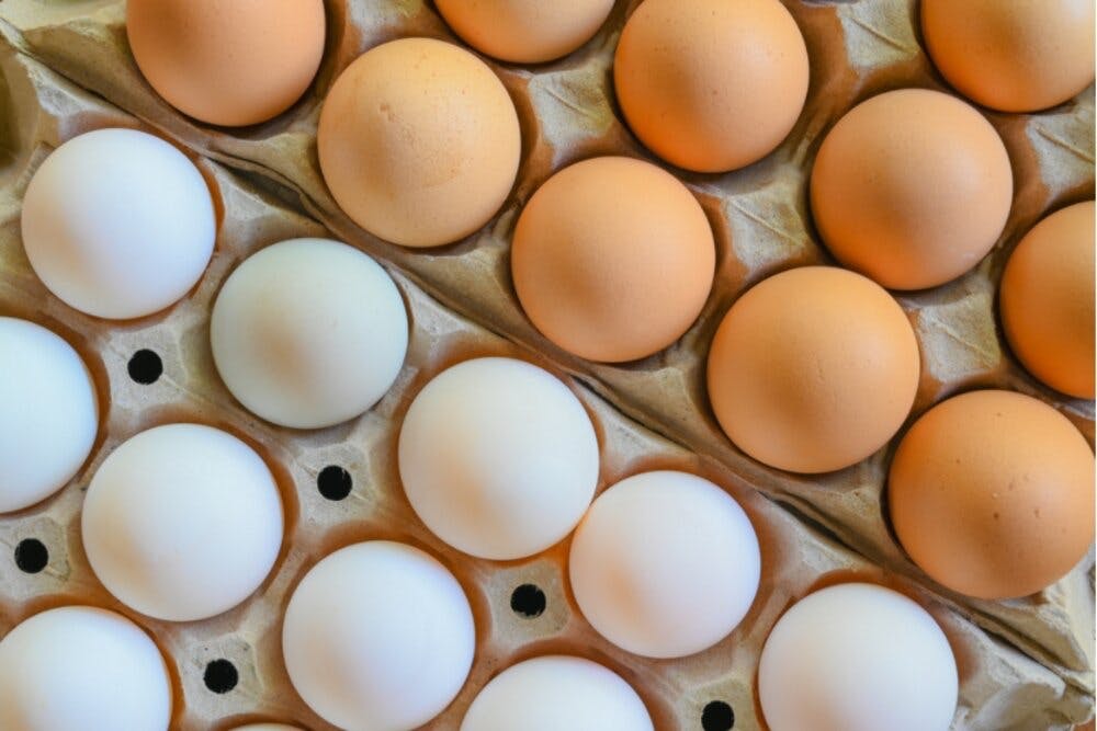 Sự khác biệt về dinh dưỡng giữa các loại trứng - Ảnh 2.