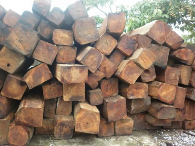 Cần kiểm soát rủi ro trong nhập khẩu gỗ nguyên liệu - Ảnh 2.