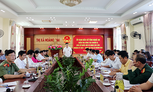 Nghệ An: Đoàn công tác UBND tỉnh kiểm tra công tác bầu cử tại thị xã Hoàng Mai - Ảnh 1.