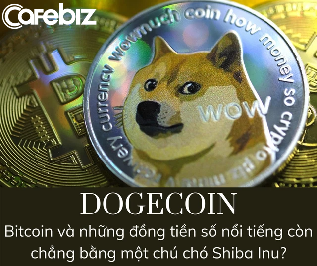Financial Times: Dogecoin - Canh bạc hời hay cú lừa? - Ảnh 2.