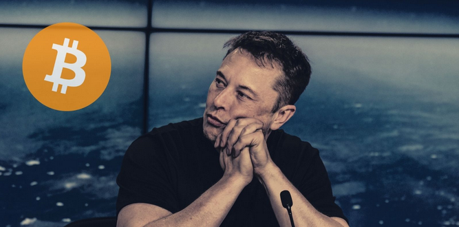 Tại sao Elon Musk bất ngờ quay lưng với Bitcoin? - Ảnh 1.
