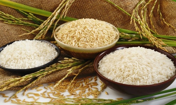 Giá lúa gạo hôm nay 27/5: Giá lúa bất ngờ giảm mạnh - Ảnh 1.