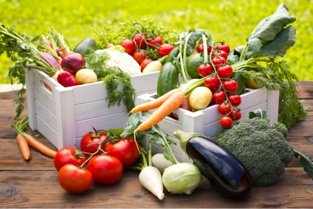 Lợi ích của thực phẩm hữu cơ và cách nhận biết - Ảnh 3.