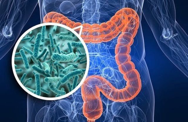 Thanh lọc cơ thể bằng nước muối: Lợi hay hại? - Ảnh 3.
