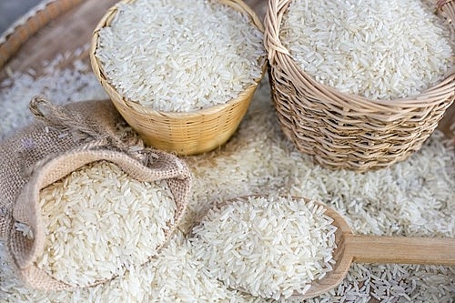 Giá lúa gạo hôm nay 3/6: Giá gạo tiếp tục giảm nhẹ - Ảnh 1.