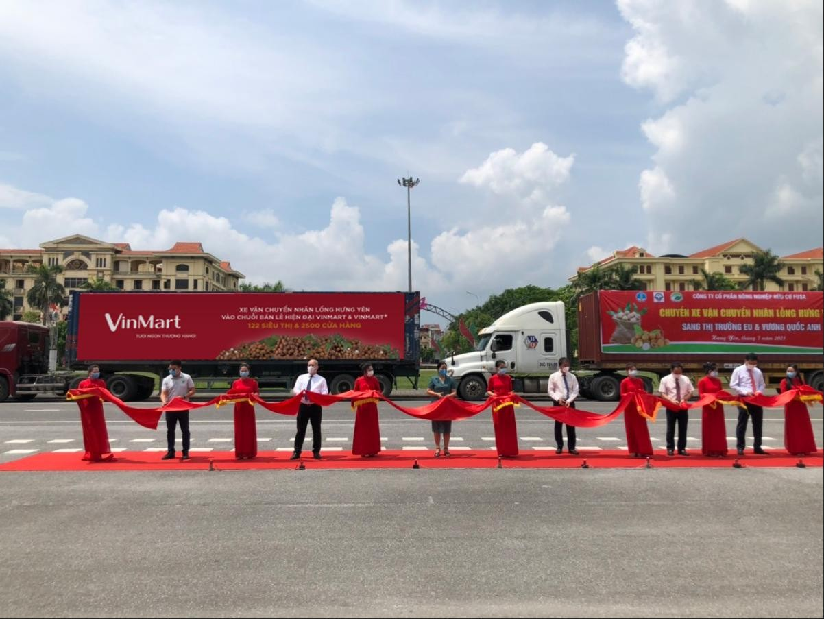 VinMart/VinMart+ "tung" khuyến mại lớn, cam kết tiêu thụ 500 tấn nhãn lồng đặc sản Hưng Yên - Ảnh 2.