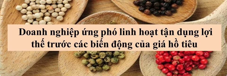 Triển vọng tươi sáng cho ngành hồ tiêu Việt Nam - Ảnh 5.