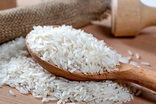 Giá lúa gạo hôm nay 2/7: Giá lúa biến động nhẹ - Ảnh 1.