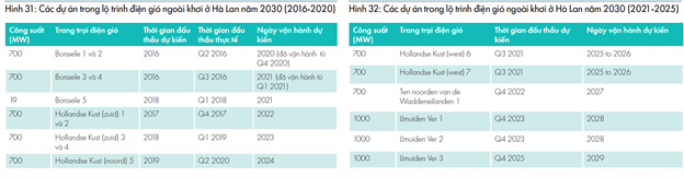 Hội đồng Điện gió Toàn cầu: Điện gió ngoài khơi Việt Nam khó vận hành đúng nghĩa trước năm 2026 - Ảnh 2.