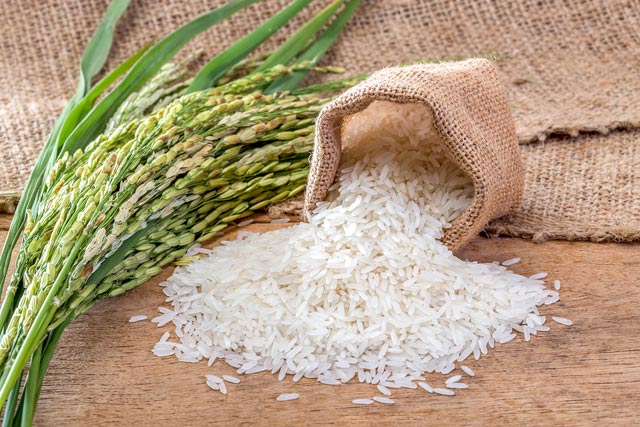 Giá lúa gạo hôm nay 24/7: Biến động từ 100-200 đồng - Ảnh 1.