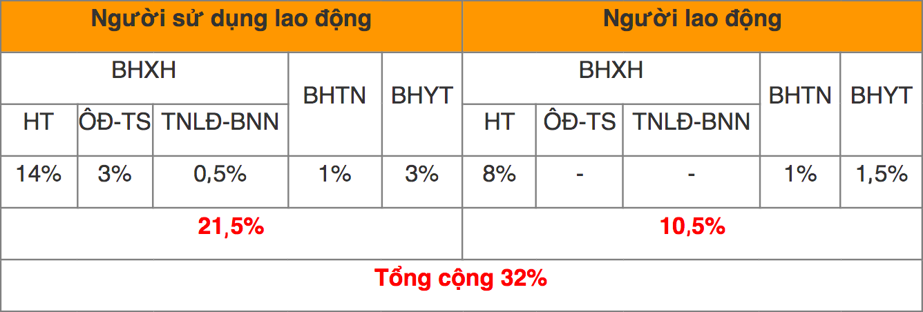 Mức đóng BHXH bắt buộc, BHTN, BHYT mới nhất đối với người lao động - Ảnh 3.