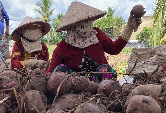 Vĩnh Long: Một số chính sách hỗ trợ người lao động và người sử dụng lao động. - Ảnh 2.