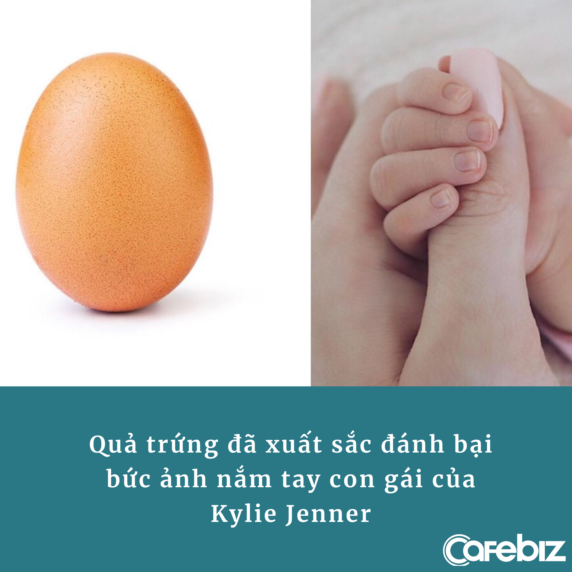 5 bài học marketing từ quả trứng ‘nhạt nhẽo’ có gần 5 triệu follower, từng đánh bại Kylie Jenner và phá vỡ kỷ lục thế giới - Ảnh 1.