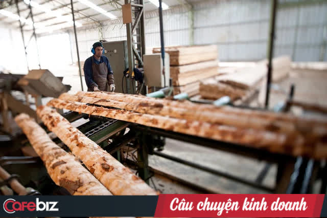Doanh nghiệp chế biến gỗ vẽ lại chuỗi cung ứng nguyên liệu, tính chiến lược phục hồi hậu Covid-19 - Ảnh 2.