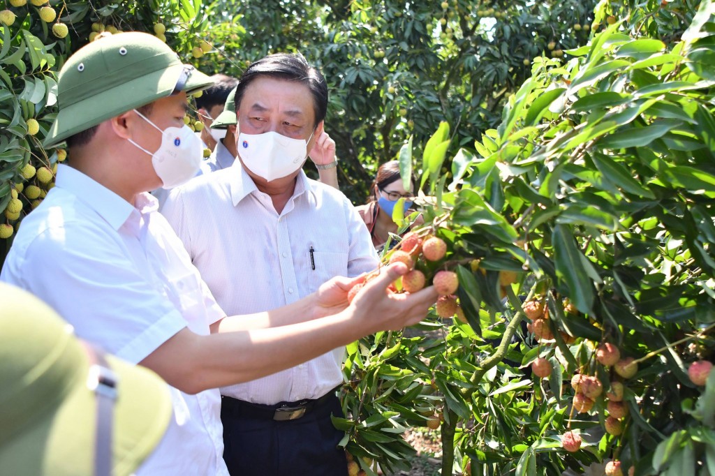 Nông nghiệp Việt Nam vững vai trò “trụ đỡ” của nền kinh tế - Ảnh 6.