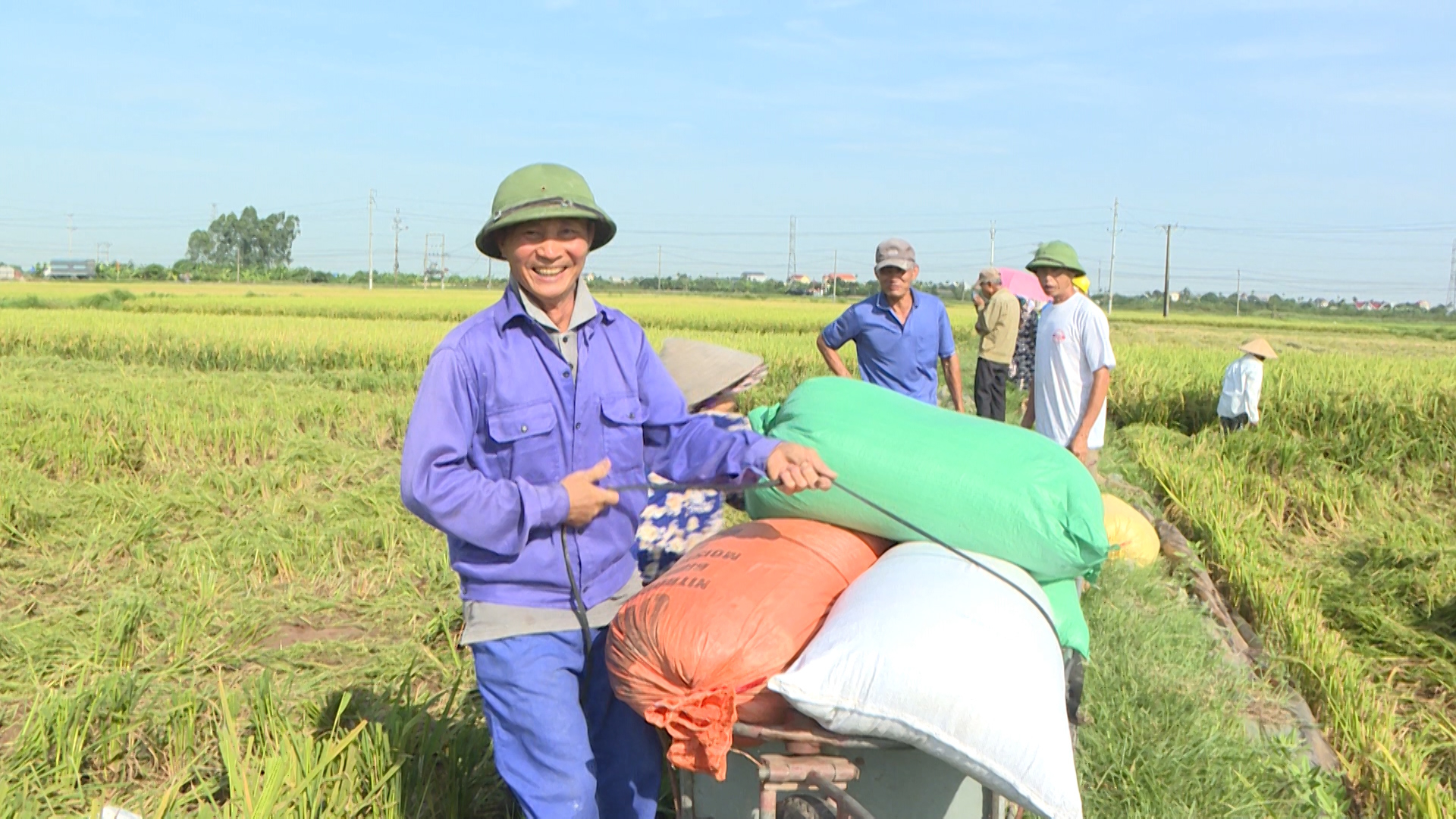 Nông nghiệp Việt Nam vững vai trò “trụ đỡ” của nền kinh tế - Ảnh 3.