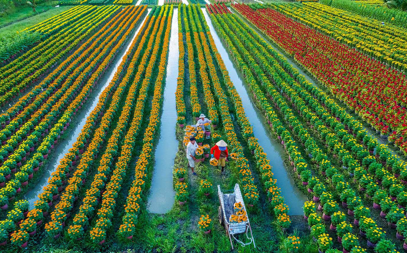 Nông nghiệp Việt Nam vững vai trò “trụ đỡ” của nền kinh tế - Ảnh 13.