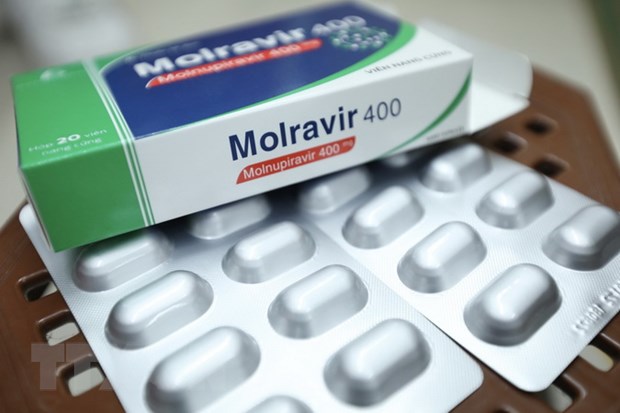 TP.HCM: 3 lý do người dân không nên tích trữ thuốc Molnupiravir điều trị COVID-19 - Ảnh 1.