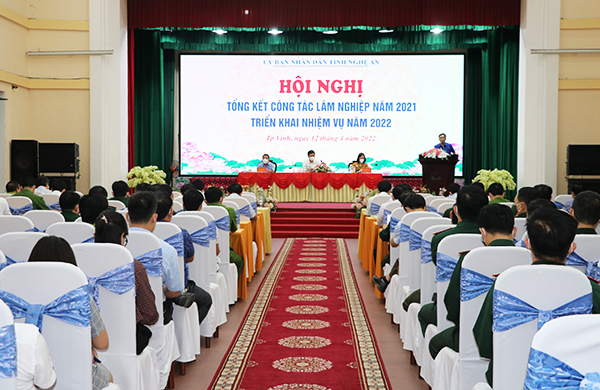 Nghệ An: Triển khai nhiệm vụ công tác lâm nghiệp năm 2022 - Ảnh 1.
