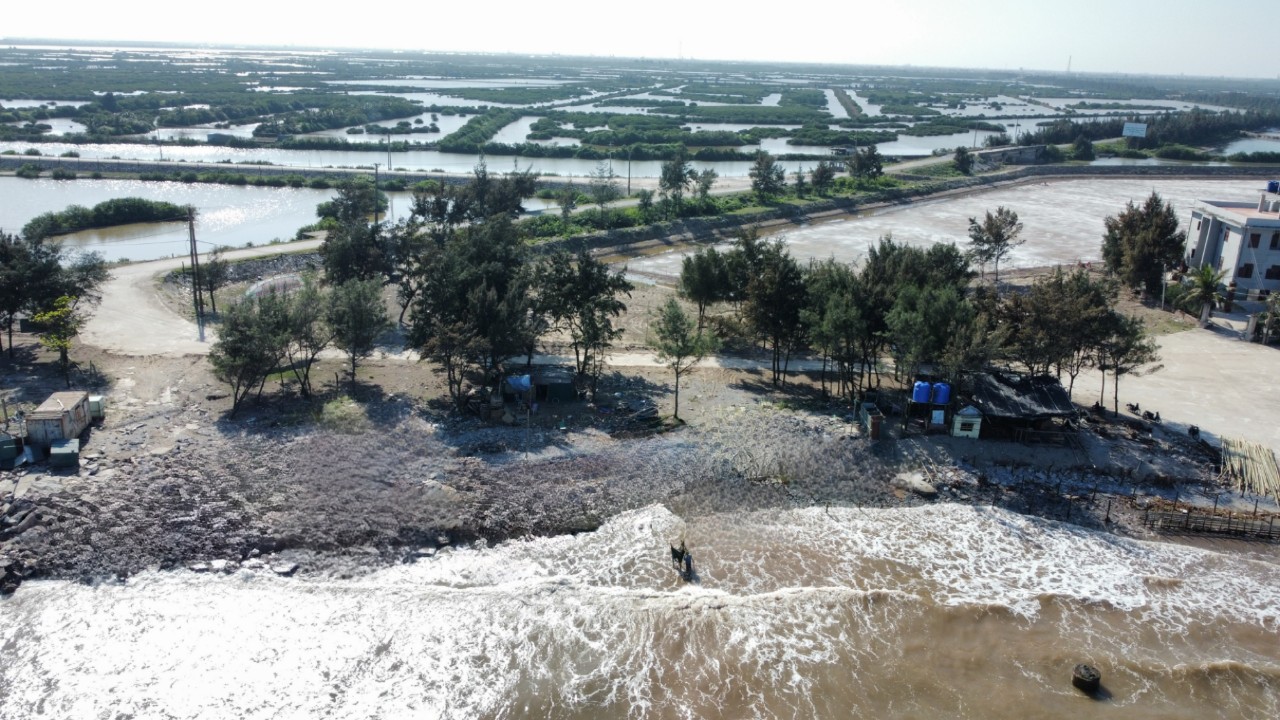 Cồn Vành - Thái Bình: Sẵn sàng đón khách du lịch về nghỉ dịp lễ 30/4 – 1/5 - Ảnh 1.