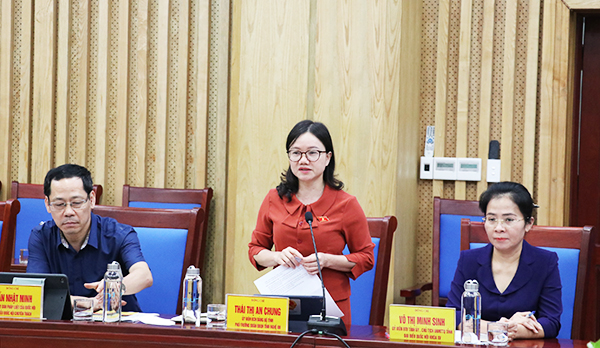 Nghệ An: Đoàn đại biểu Quốc hội tỉnh làm việc với UBND tỉnh - Ảnh 4.