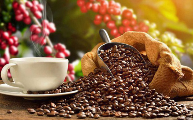 5 tháng đầu năm, xuất khẩu cà phê đạt trên 2 tỷ USD - Ảnh 1.