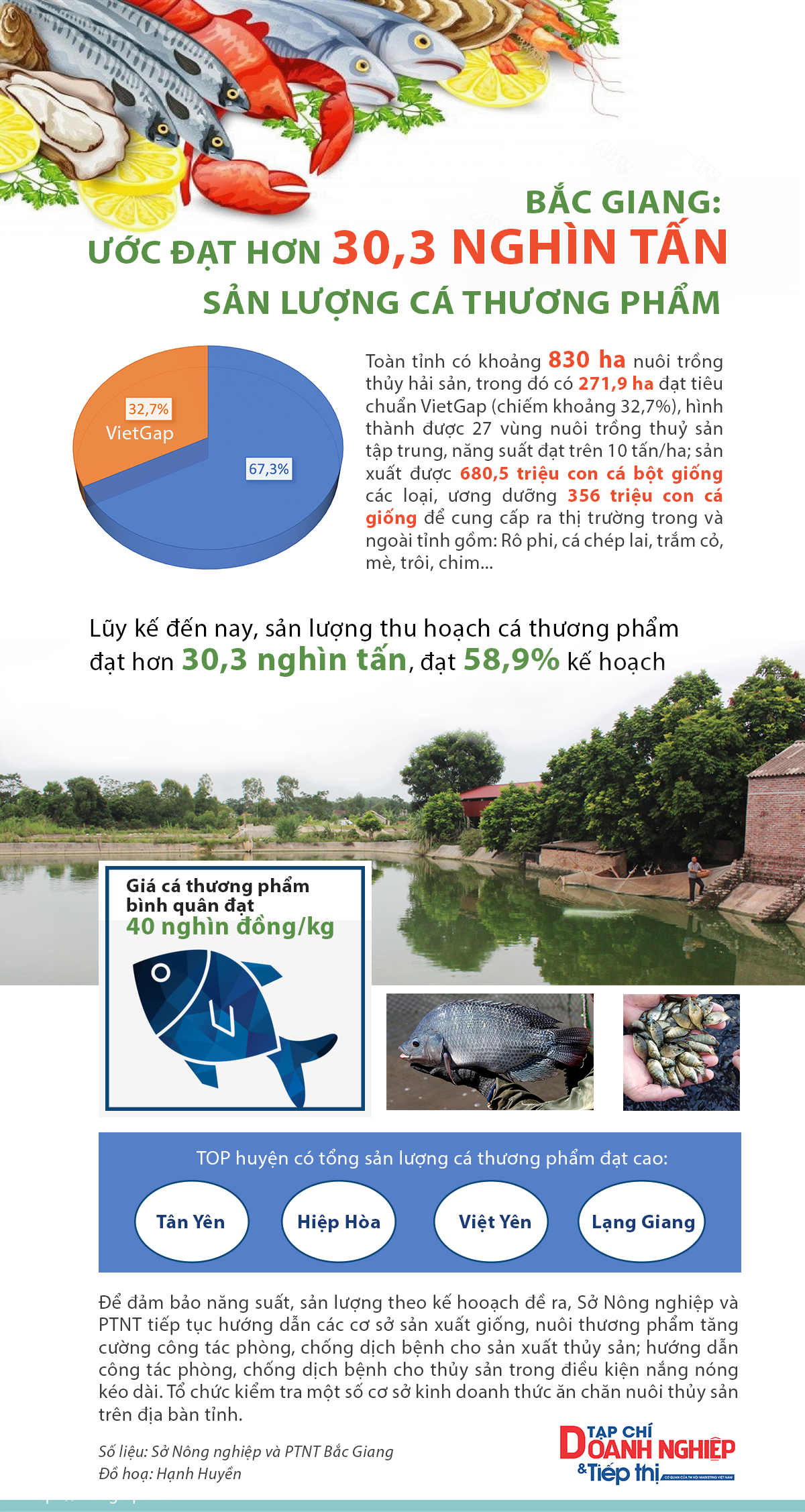 Infographic sản lượng cá thương phẩm tỉnh Bắc Giang ước đạt hơn 30,3 nghìn tấn.