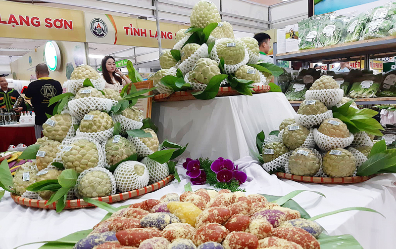 Quảng bá na Chi Lăng và nông sản, đặc sản tỉnh Lạng Sơn tại Hà Nội - DNTT  online