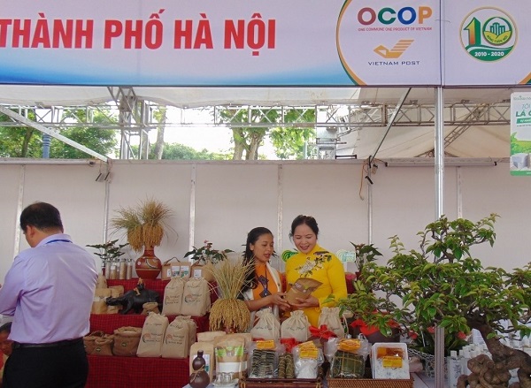 Hà Nội dẫn đầu cả nước về sản phẩm OCOP  - Ảnh 2.