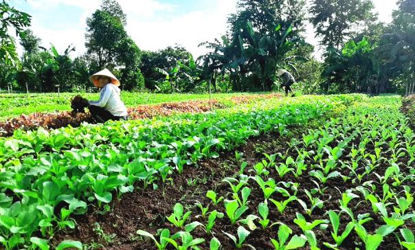 photo-1663318483422 photo-1663318483422