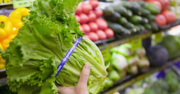 photo-1663318485559 photo-1663318485559